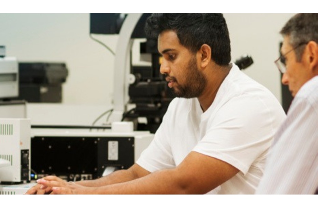 Student in STEM research lab